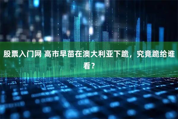 股票入门网 高市早苗在澳大利亚下跪，究竟跪给谁看？