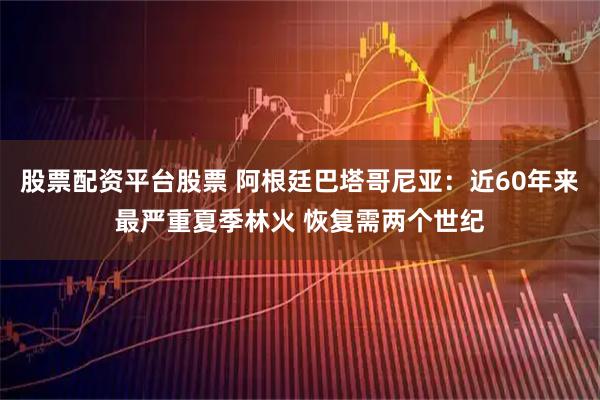 股票配资平台股票 阿根廷巴塔哥尼亚：近60年来最严重夏季林火 恢复需两个世纪